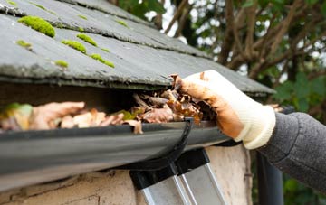 gutter cleaning Whitefield